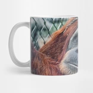 Sumatran Orangutan Mug